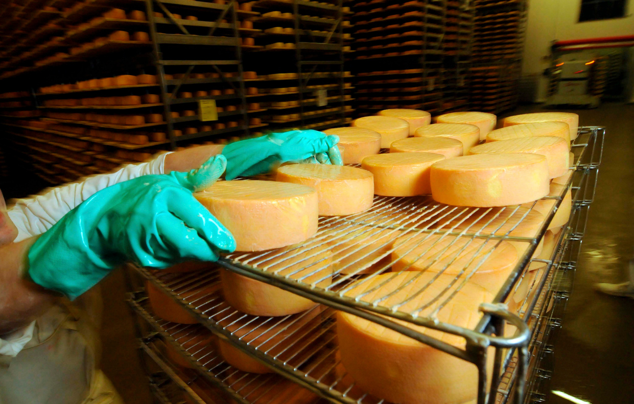 Cheese Ripening Process in the Industrial Food Production